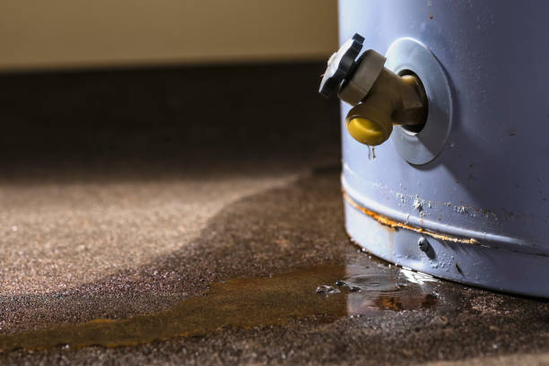 Best Emergency water damage restoration  in Niantic, CT