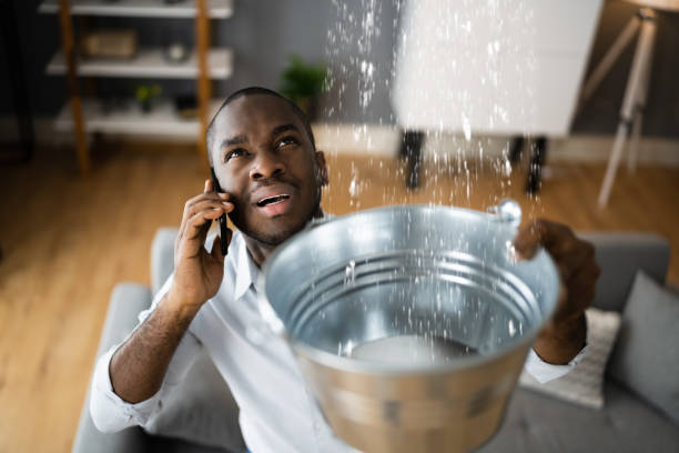 Best Residential water damage restoration  in Niantic, CT