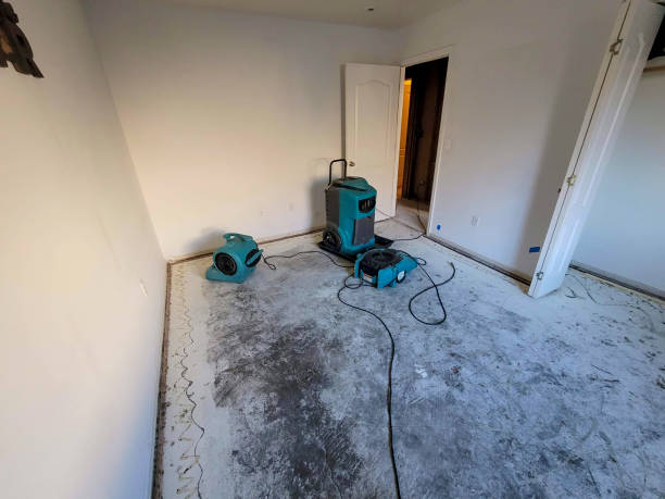Best Water damage cleanup near me  in Niantic, CT