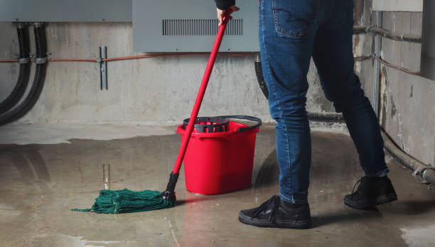 Best Local water damage restoration  in Niantic, CT