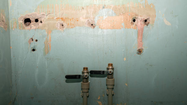 Best Water damage contractors near me  in Niantic, CT