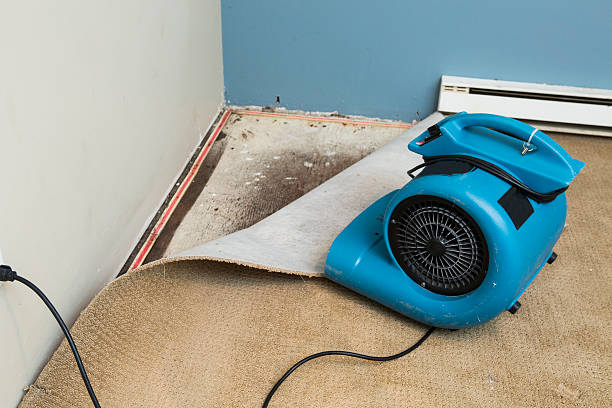 Best Ceiling water damage repair  in Niantic, CT